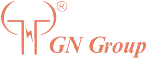G.N. Group & Company - Logo